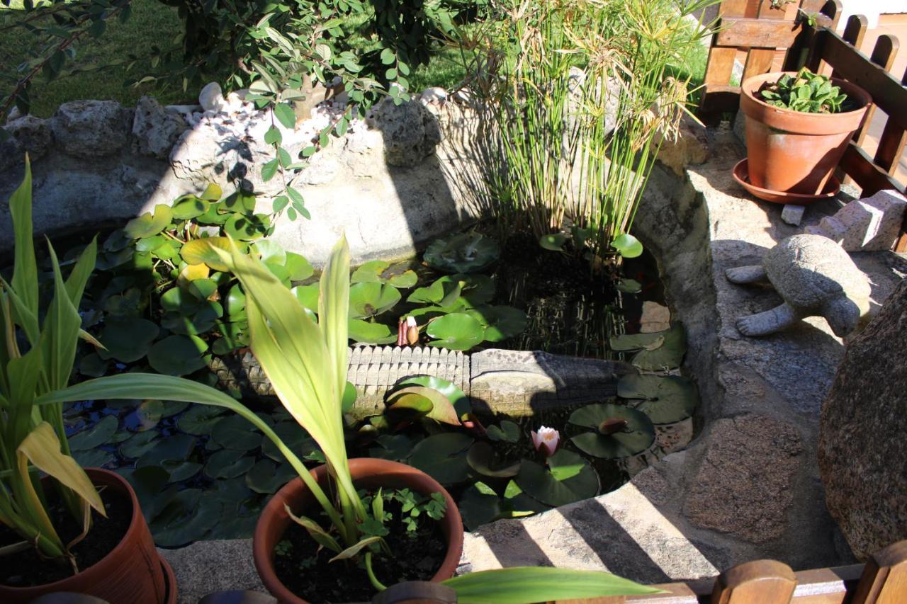 Apartamentos Os Cerros Vera Dış mekan fotoğraf